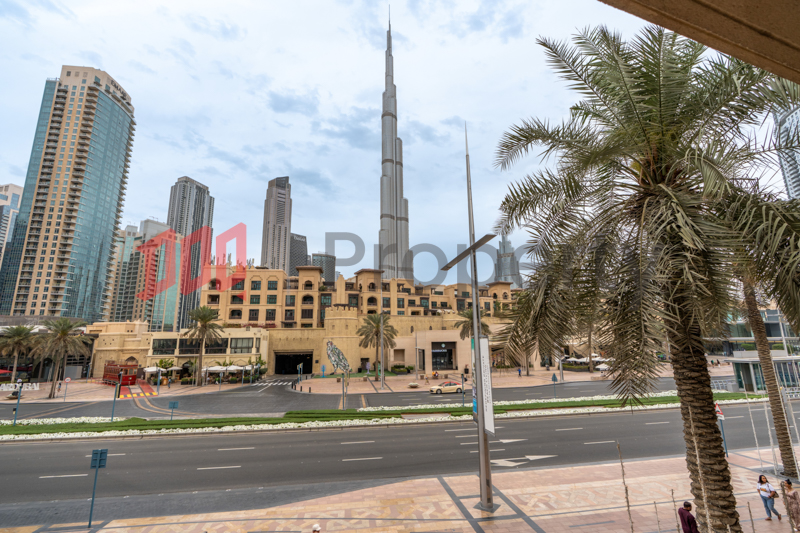 Burj view | Spacious | Prime Location